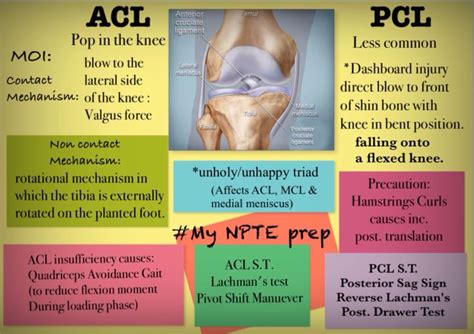 For Daily use: PCL vs BCL .